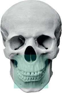 FOV 8x5/8x8 для части зубного ряда