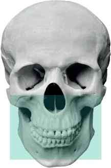 FOV 12x9 для полного зубного ряда