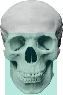 FOV 12x14 для синусов и ВНЧС