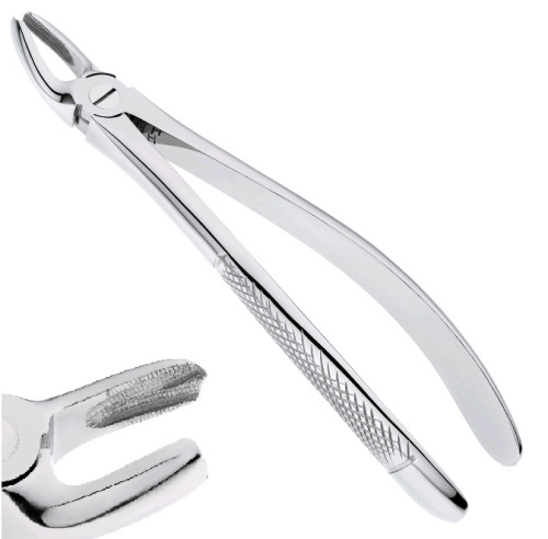 Группа зубов верхняя, форма S-образная, моляры