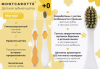 Монткаротте MONTCAROTTE Зубная щетка +0 детская soft (MC210) желтая (Yellow) дек.